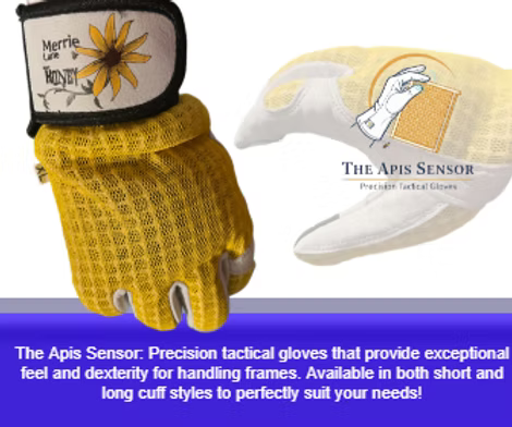 The Apis Sensor Tactical Short Cuff Gloves
